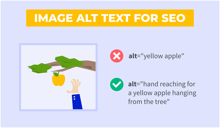 image alt text for seo