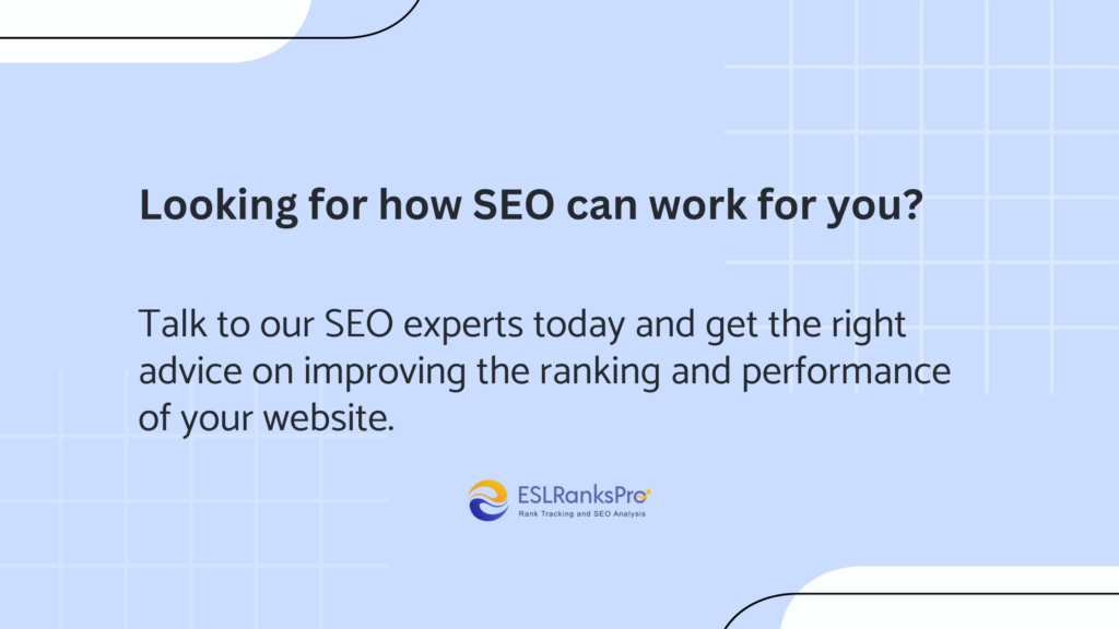 Talk to our seo experts