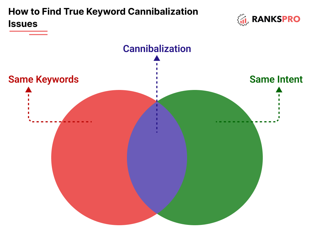 How to Create Keyword Clusters? A Definite SEO Guide 2 image 17